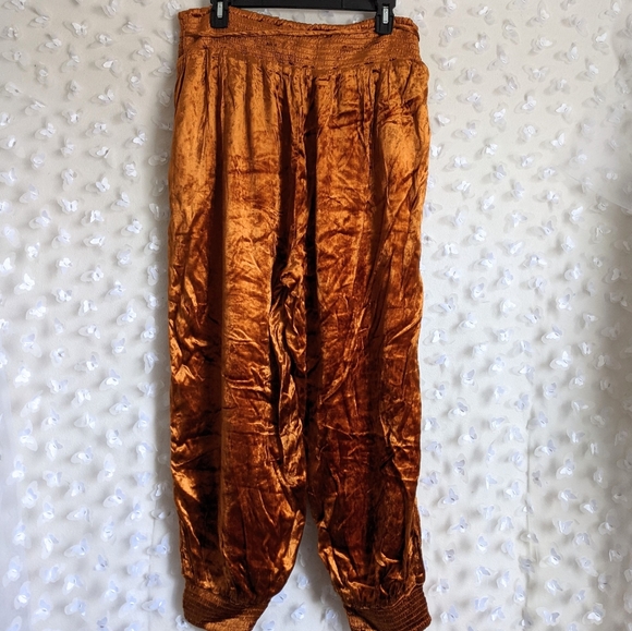 Anthropologie Rosie Embroidered Velvet Joggers NEW - Picture 7 of 7